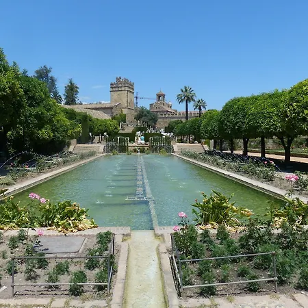 Patio De La Plateria قرطبة