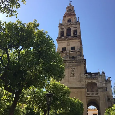 Patio De La Plateria 3* قرطبة